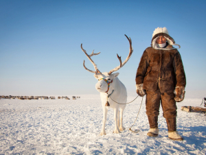 Обложка новости Малочисленные народы и АГС: право по крови или по образу жизни?